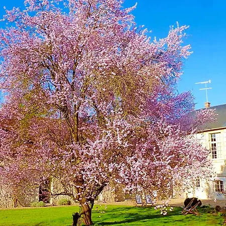 בית הארחה Et D'hotes Clos De Mondetour