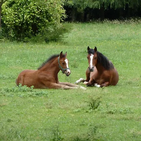 Et D'hotes Clos De Mondetour 3*