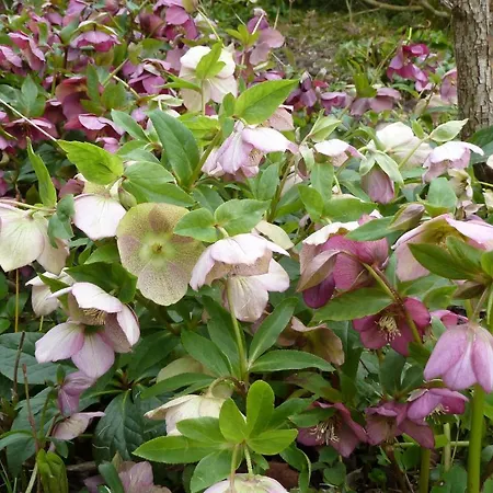 Et D'hotes Clos De Mondetour