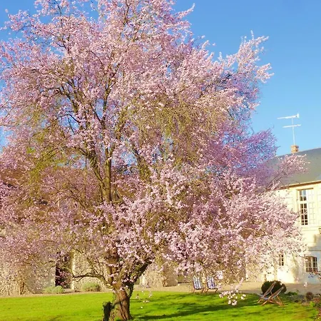 Et D'hotes Clos De Mondetour 3* Fontaine-sous-Jouy