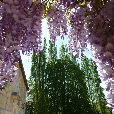 Affittacamere Et D'hotes Clos De Mondetour