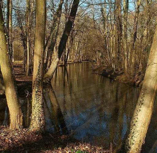 Guest house Et D'hotes Clos De Mondetour 3*