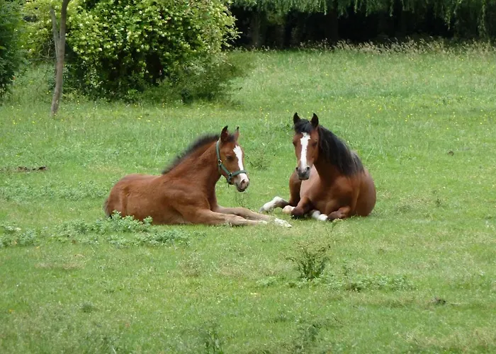 Et D'hotes Clos De Mondetour 3*