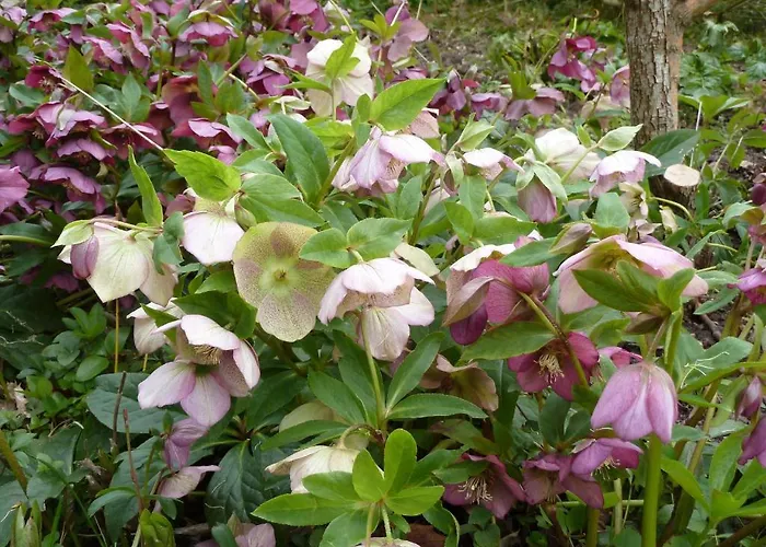 Et D'hotes Clos De Mondetour