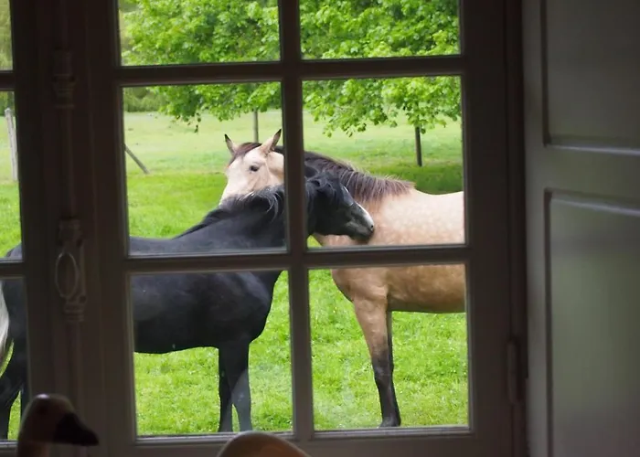 Et D'hotes Clos De Mondetour 3* Fontaine-sous-Jouy